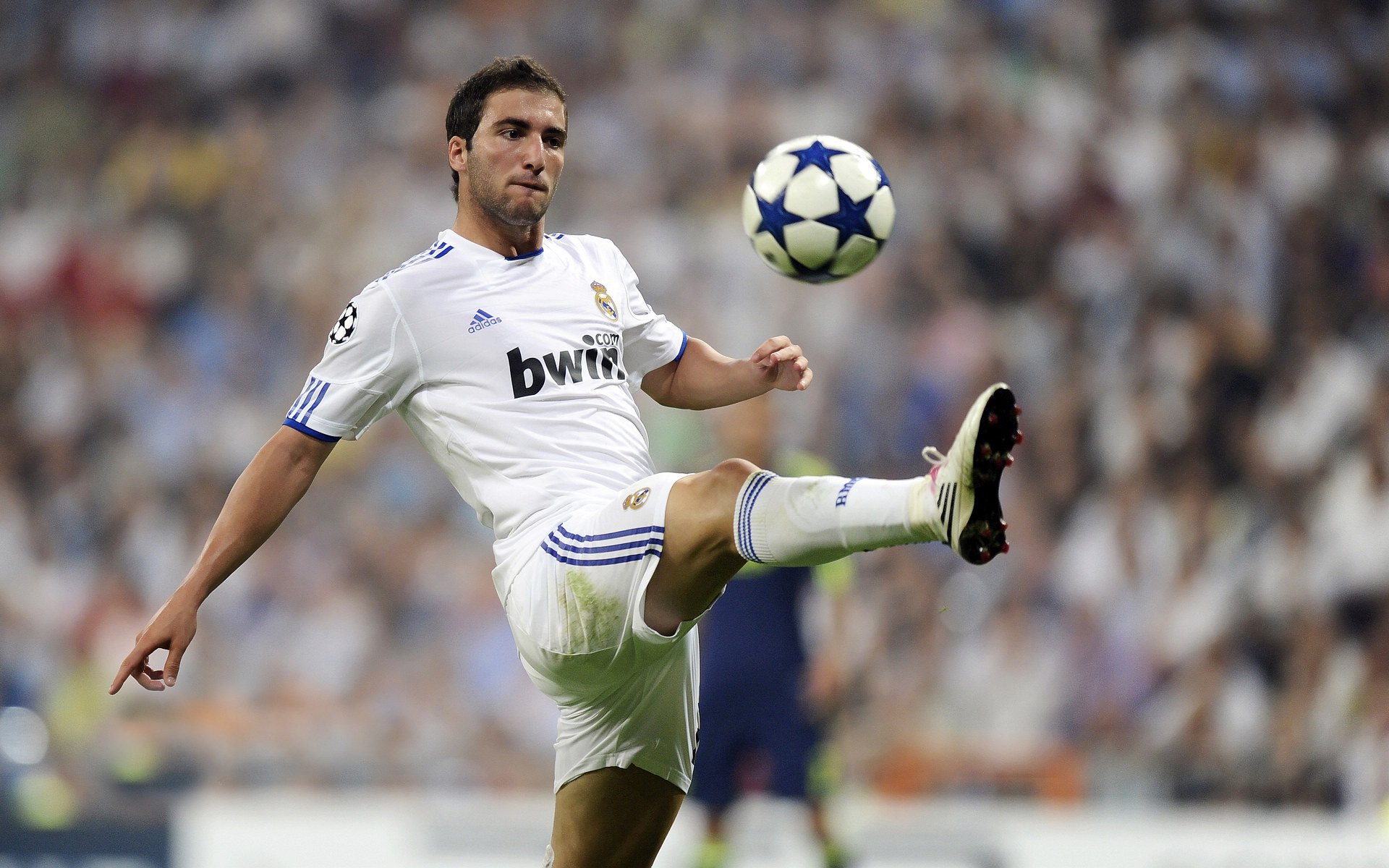 NBA电竞IP进入拉美市场，nba电竞ip进入拉美市场的条件