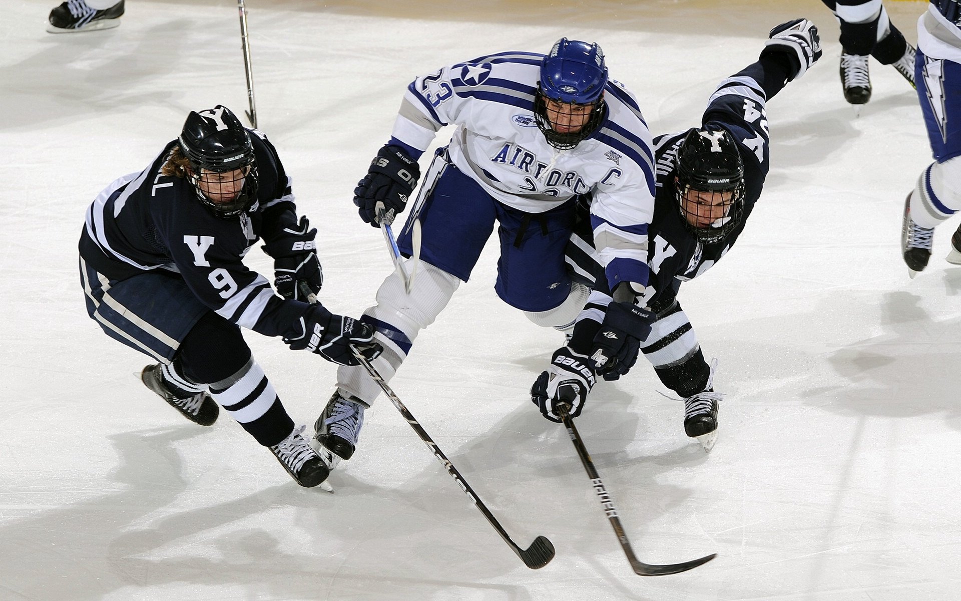 NBA的“绿色使命”：推动可持续发展的环保行动，绿色nba球队